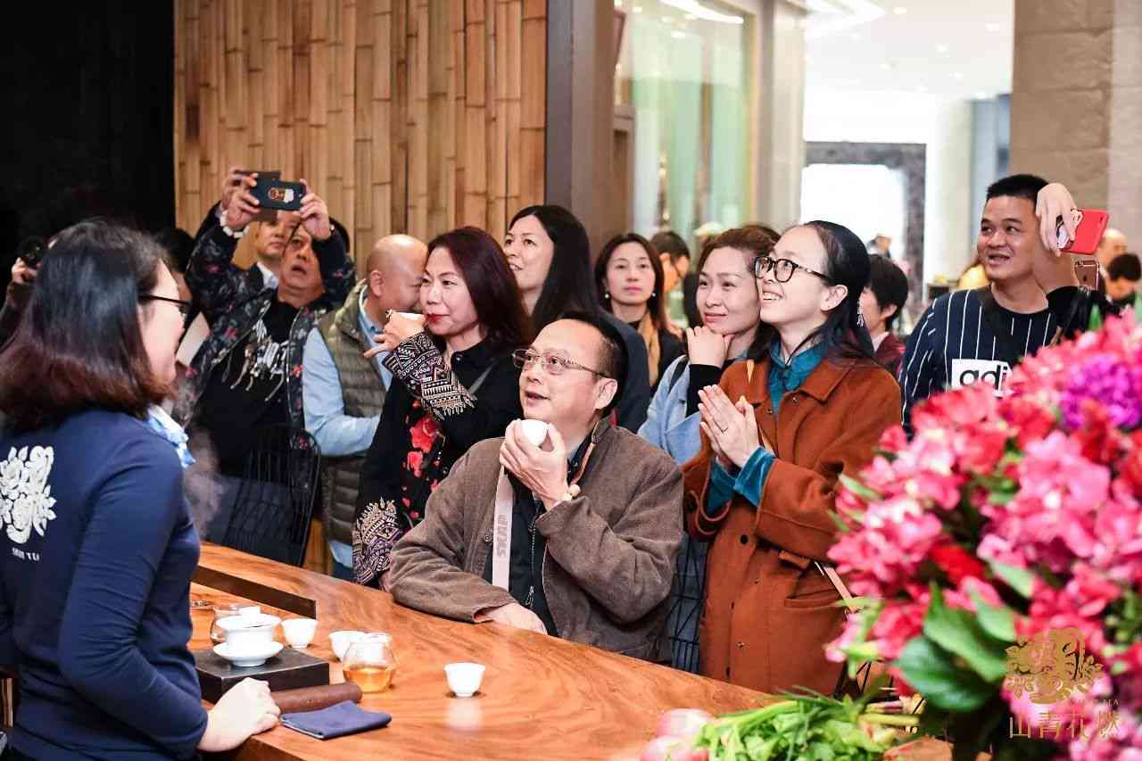 主持的天普洱茶专场：品味勐海的独特韵味与价值