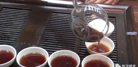 深入解析普洱茶冲泡技巧：一回生二回熟茶叶的正确方法与步骤