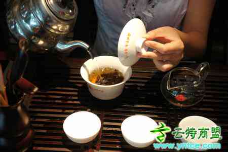 深入解析普洱茶冲泡技巧：一回生二回熟茶叶的正确方法与步骤