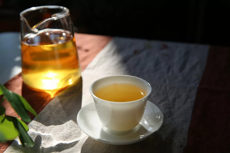普洱茶一回生二回熟怎么喝：掌握泡法与品鉴技巧，体验醇厚口感