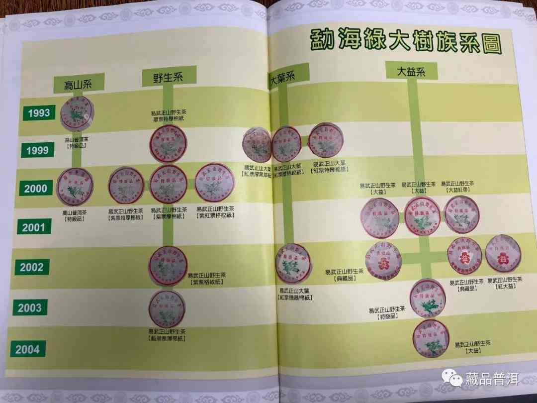 勐海特级绿大树茶厂多种版本的价格比较与品鉴