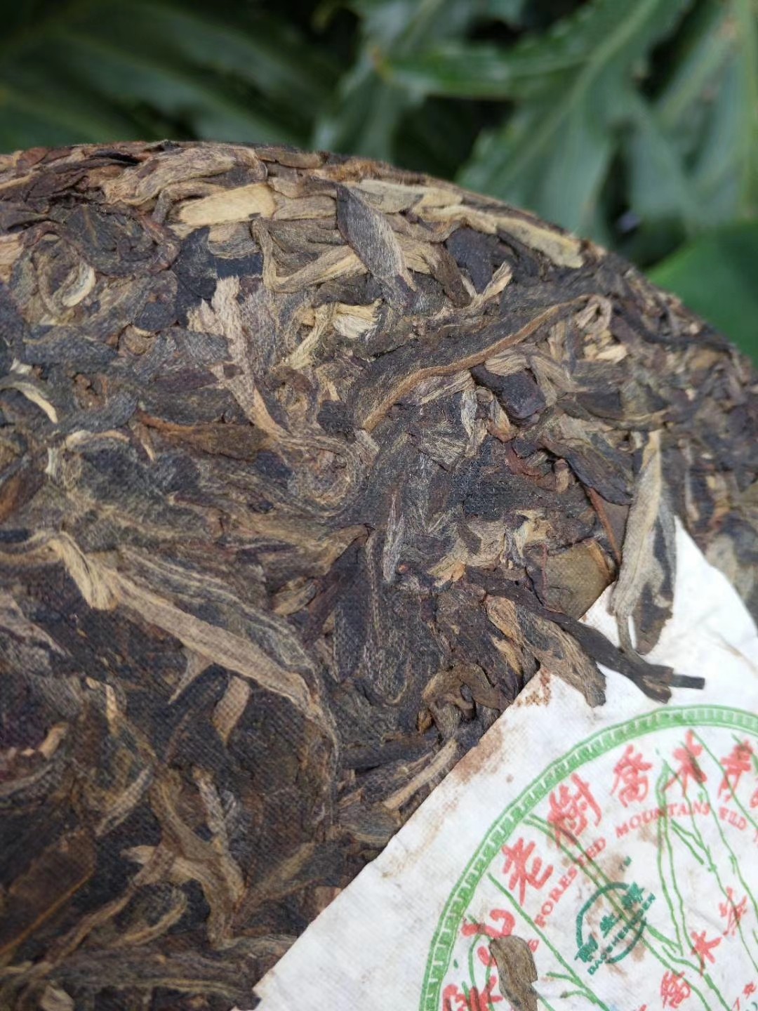 2007勐海绿大树普洱茶价格