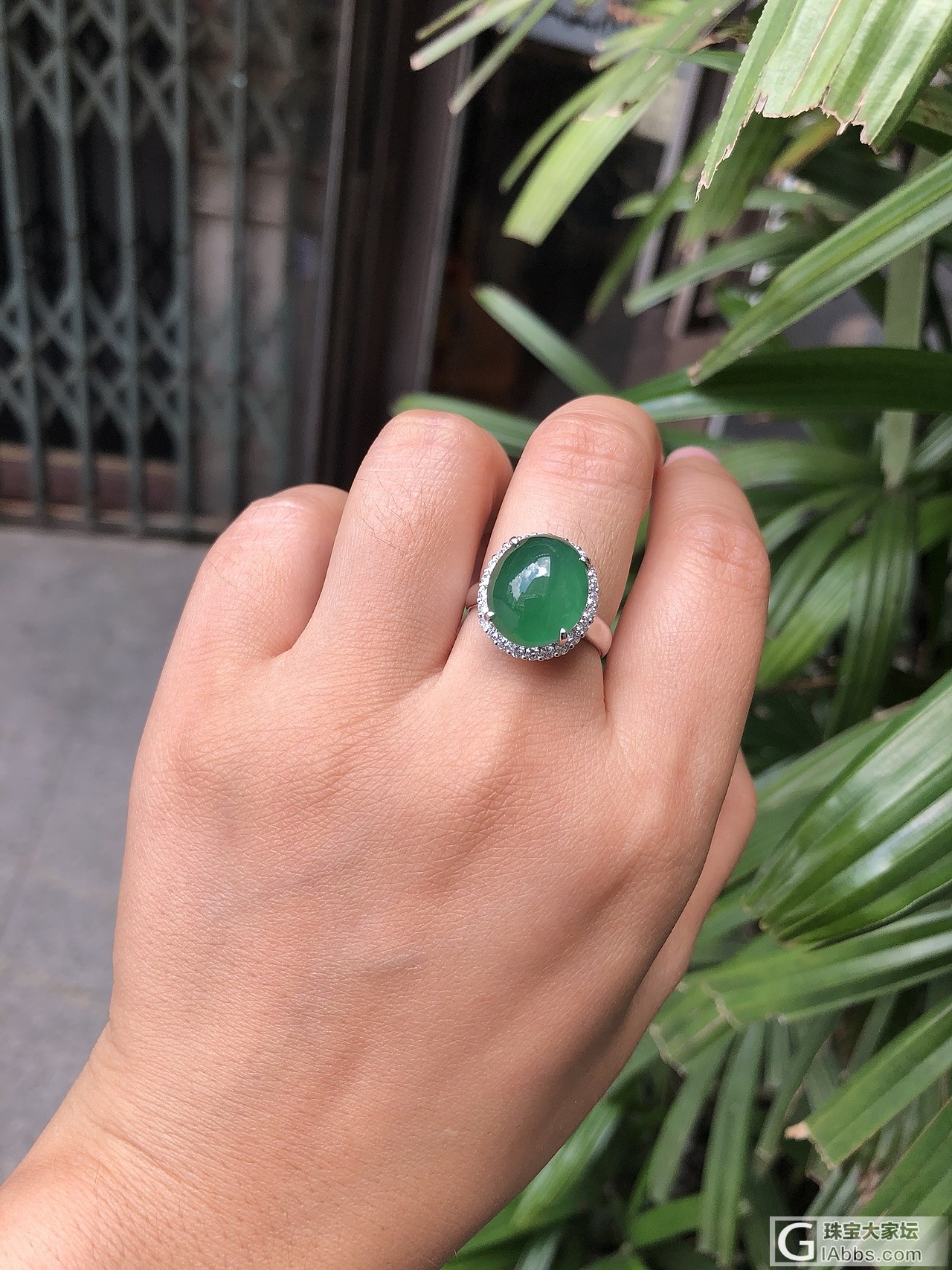 翡翠戒指之珍稀阳绿：从佛山到广州的珠宝故事