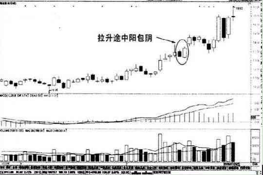 游龙拳游龙戏水全方位教学：从基础到实战技巧解析，让你轻松掌握这门技艺。