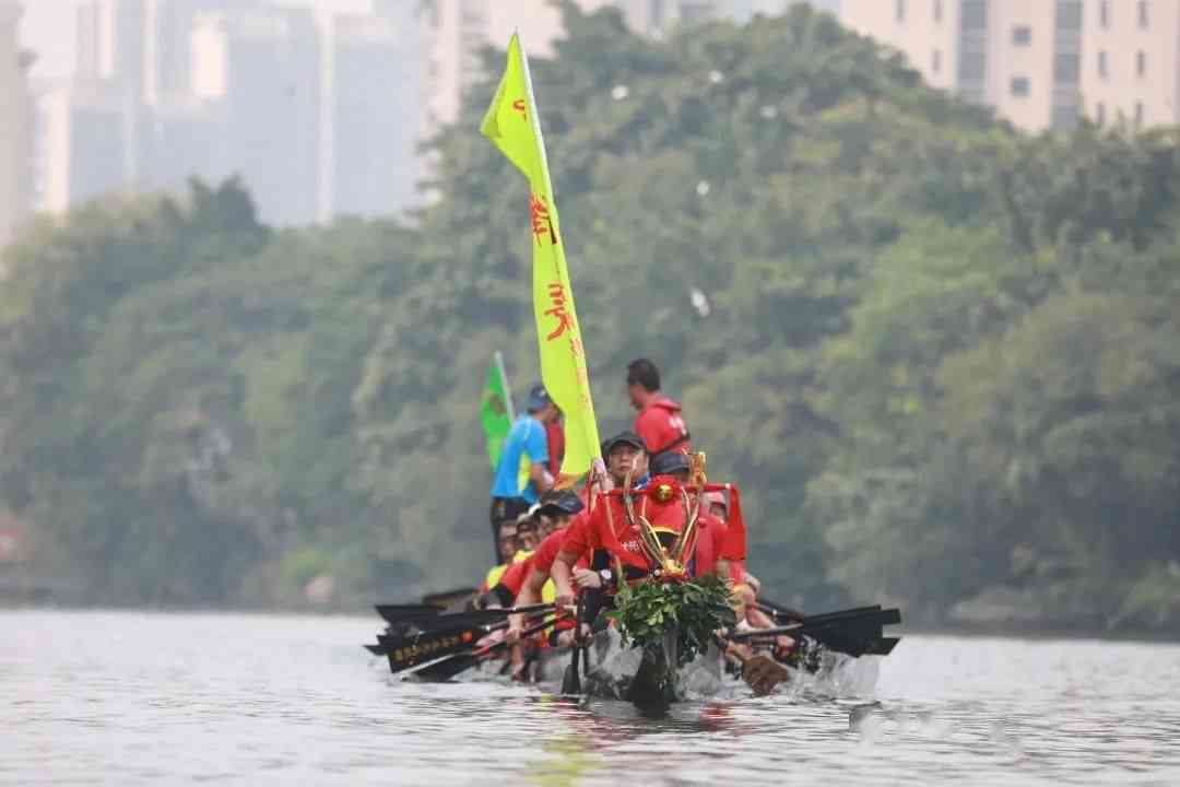 游龙拳游龙戏水全方位教学：从基础到实战技巧解析，让你轻松掌握这门技艺。