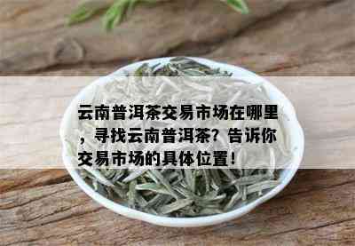 云南普洱茶昆明场：优质货源、精准报价、茶叶交易中心