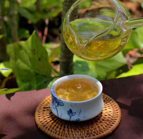 探索困鹿山普洱茶：一款独特的云南茶叶魅力剖析