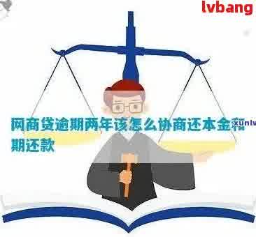 全面解决用户问题：网商贷协商还本金的详细技巧和策略