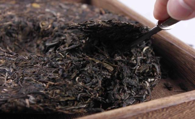 探究普洱茶独特的风味：揭秘其精选原料