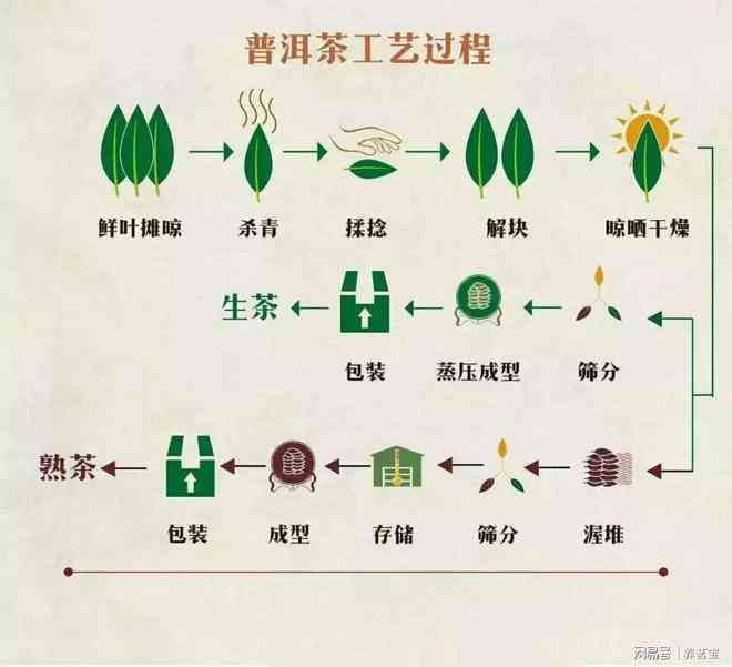 普洱茶熟茶的加工流程