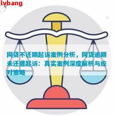 法院调解还款策略：逾期案例分析与解决之道