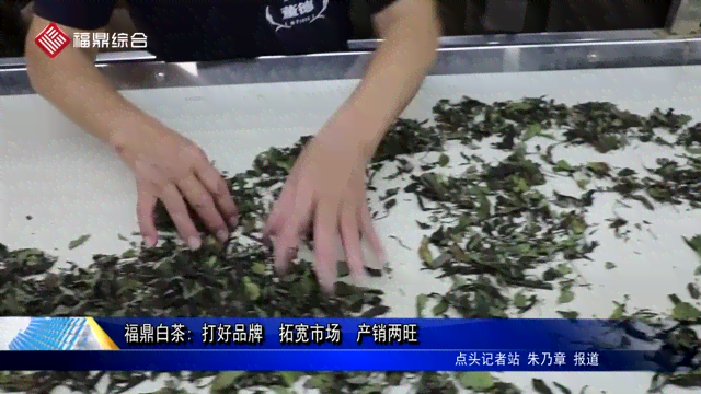 福安茶业：高品质茶叶供应，特色花茶推荐，福建引领市场价格潮流