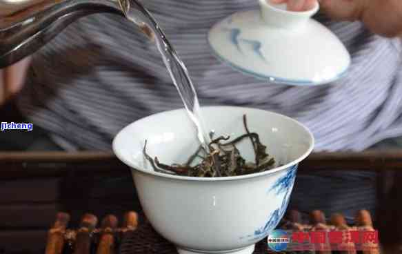 普洱茶冲泡度指南：哪种水最合适，多少茶叶比例合适？