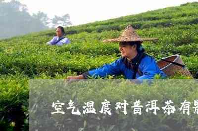 普洱茶适合什么湿度喝