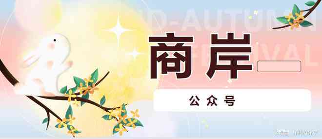 安逸花逾期500多天：原因、解决办法及可能的影响