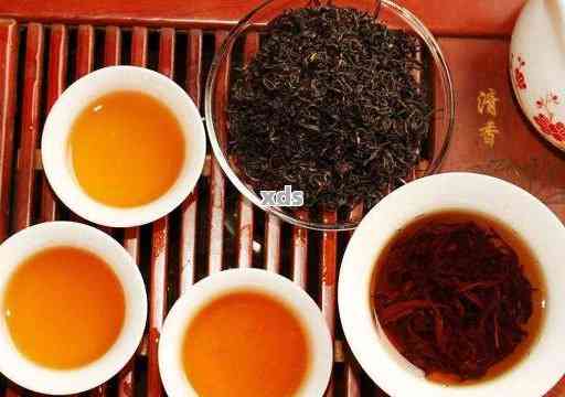 普洱茶和红茶：哪个更适合你？全面对比与选择指南
