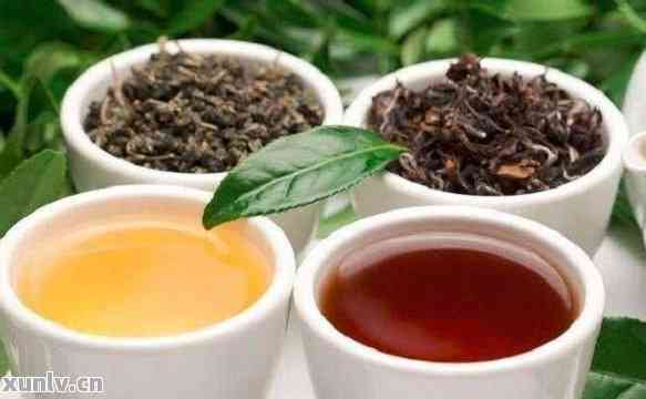 普洱茶、绿茶、红茶之间的区别及各种茶类的特点解析