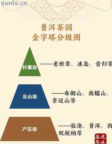 探究普洱茶种类及其特色：从产地、工艺到口感的全方位解析