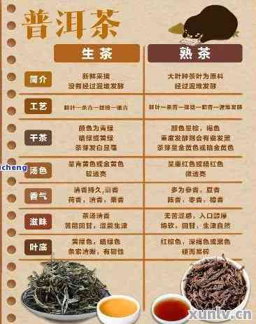 普洱茶的种类、制作工艺、功效与品鉴：全面了解我们的普洱茶