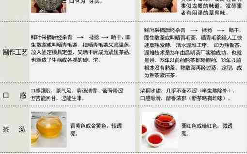 普洱茶生熟选择指南：排行榜与价格对比