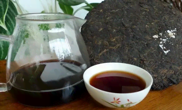 1998年七子饼普洱茶价格多少一斤-求解