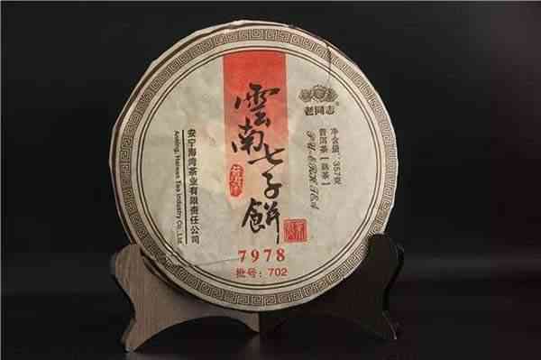 1998年七子饼普洱茶价格多少一斤-求解