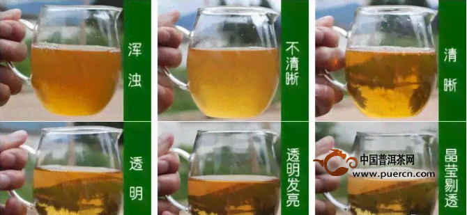 全方位指南：如何鉴别普洱茶的品质，从外形、香气到口感