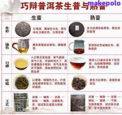 普洱茶品质鉴别方法与标准：特征分析