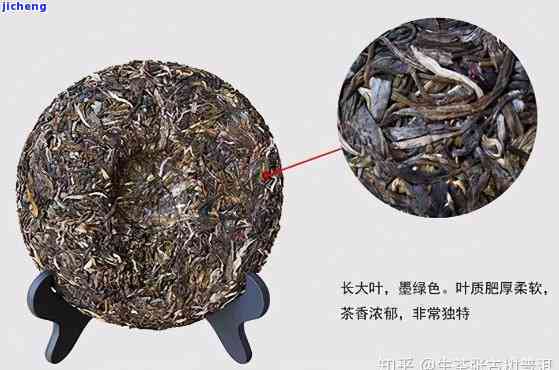 普洱茶品质鉴别方法与标准：特征分析