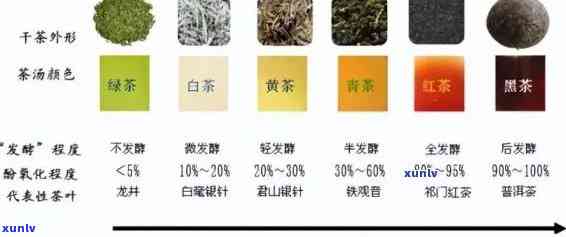 探究普洱茶的品质：从色香味形四个维度鉴别好坏