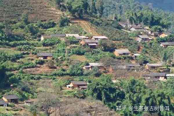 正气塘普洱茶是那个地区山头：一茶叶的故事与传承