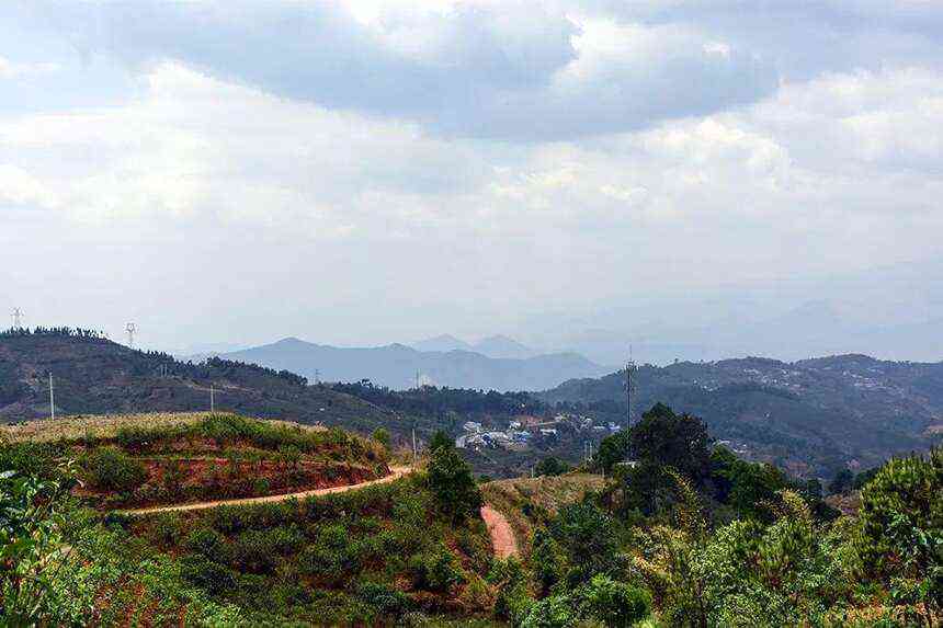 正气塘普洱茶是那个地区山头：一茶叶的故事与传承