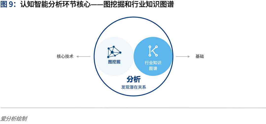 探究普洱茶十克中的粒数：基于目测的分析与比较