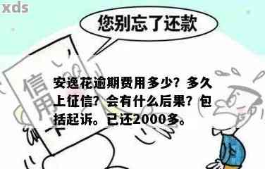 安逸花逾期了会被起诉吗？安逸花逾期的后果与上情况及收费是怎样的？