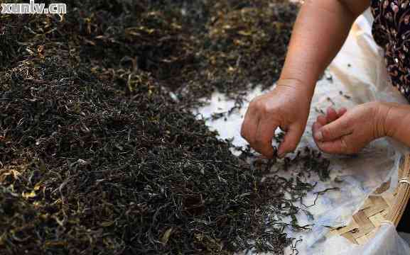 普洱茶的独特成型过程：从茶叶到块状的奥秘解析