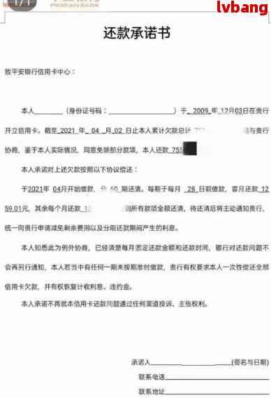 建设银行协商还款申请书的详细填写指南：应对逾期的有效策略与资讯