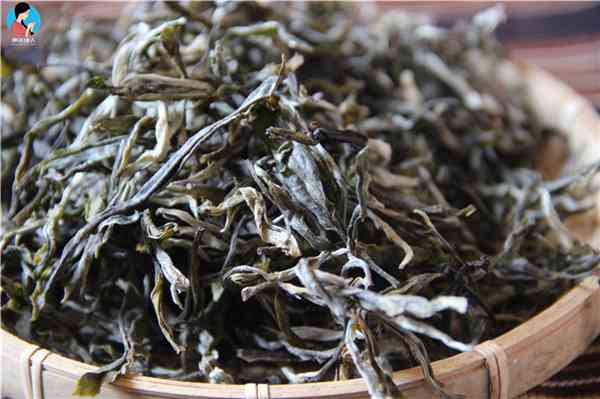 2017年名山古树普洱茶：稀缺品种、独特风味与高性价比的完美结合