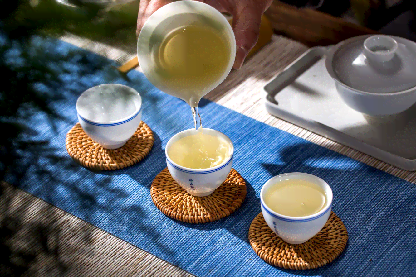 普洱茶新茶的全方位保存方法：从选购到存，让你的茶叶保持品质