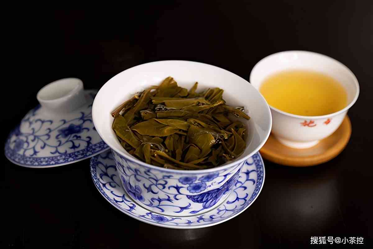 云南普洱茶饼与冰岛班章：哪些和种类值得品鉴？