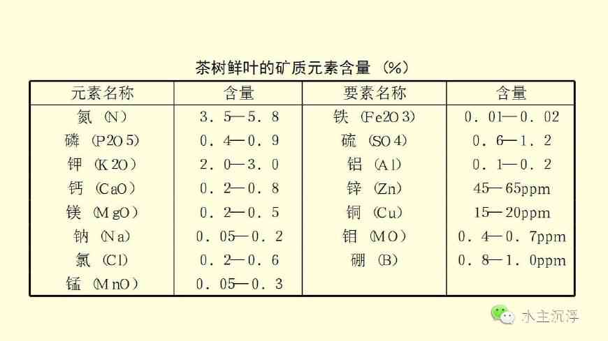 普洱茶的多元化学成分分析：元素含量表详解