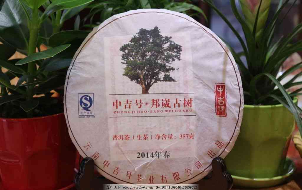 普洱茶的多种有益健元素及其作用：全面解析