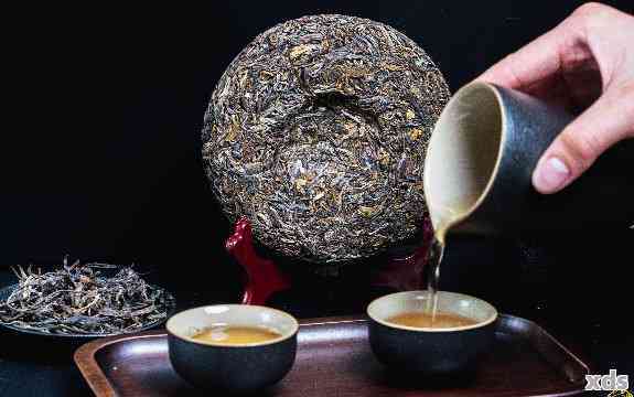 普洱茶的多种有益健元素及其作用：全面解析