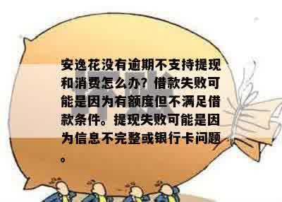 安逸花逾期还款后再次借款遇到评分不足问题，如何解决并提高信用评分？