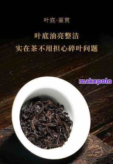 5kg精选樟香熟茶茶叶，源头直供，品质保证，限时优，欢迎选购！