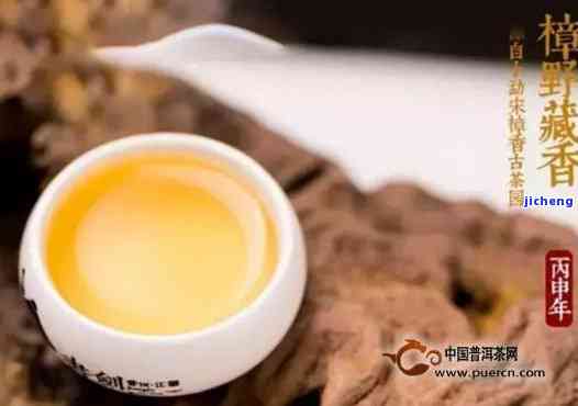 樟香老树普洱茶：品种、产地、功效与口感全面解析，带你领略茶中皇后的魅力