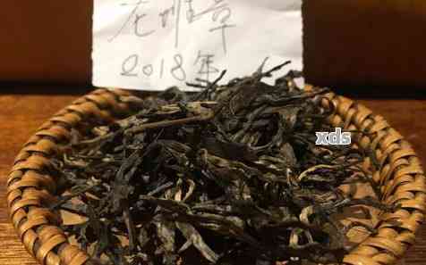 樟香老树普洱茶：品种、产地、功效与口感全面解析，带你领略茶中皇后的魅力