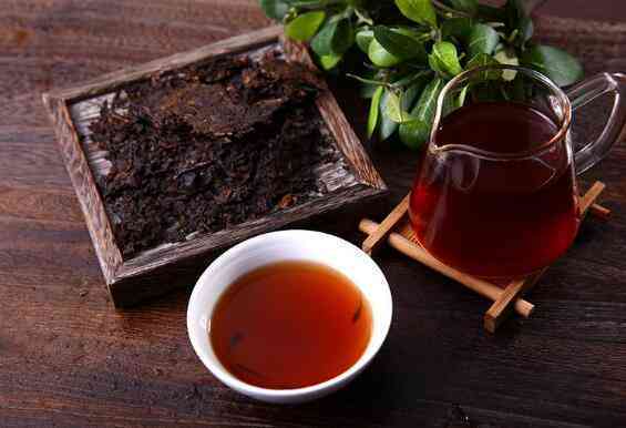 樟香普洱茶熟茶1988100g