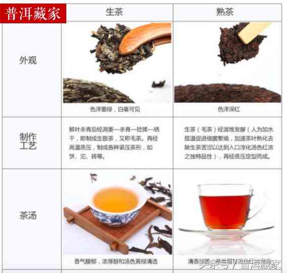 普洱茶的分类及生茶与熟茶的区别：你真的了解吗？