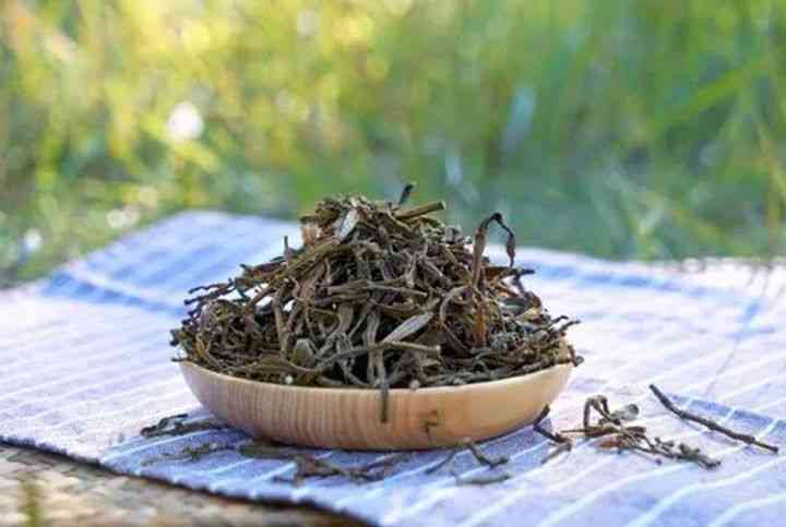 普洱茶的产地、品种和冲泡方法，以及如何辨别真伪和保存技巧