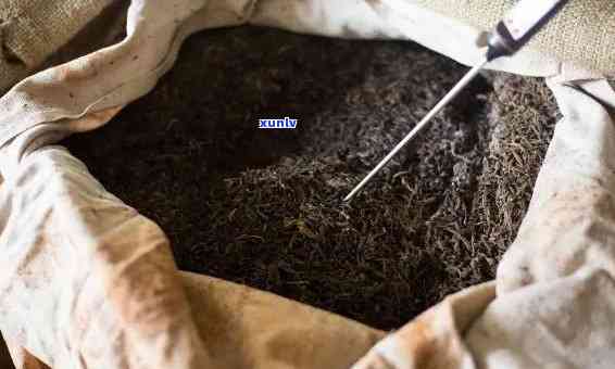 普洱茶的发酵过程：了解熟茶与生茶的区别及其制作工艺